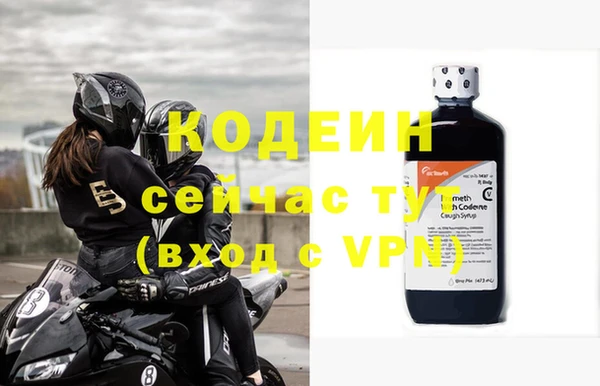 спиды Богородицк