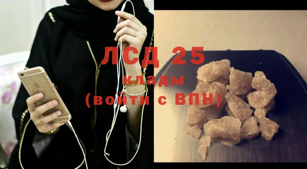 спиды Богородицк