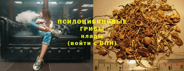 хмурый Богородск