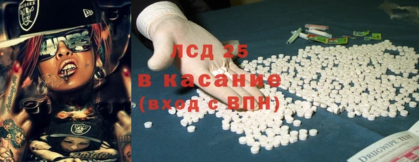 спиды Богородицк