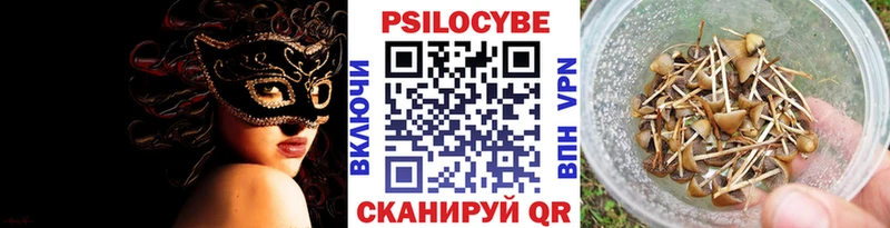 darknet как зайти  KRAKEN как зайти  Велиж  Псилоцибиновые грибы прущие грибы 